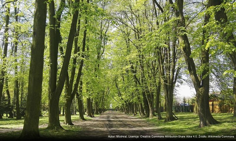 Park miejski im. Bohaterów Monte Cassino w Jarosławiu